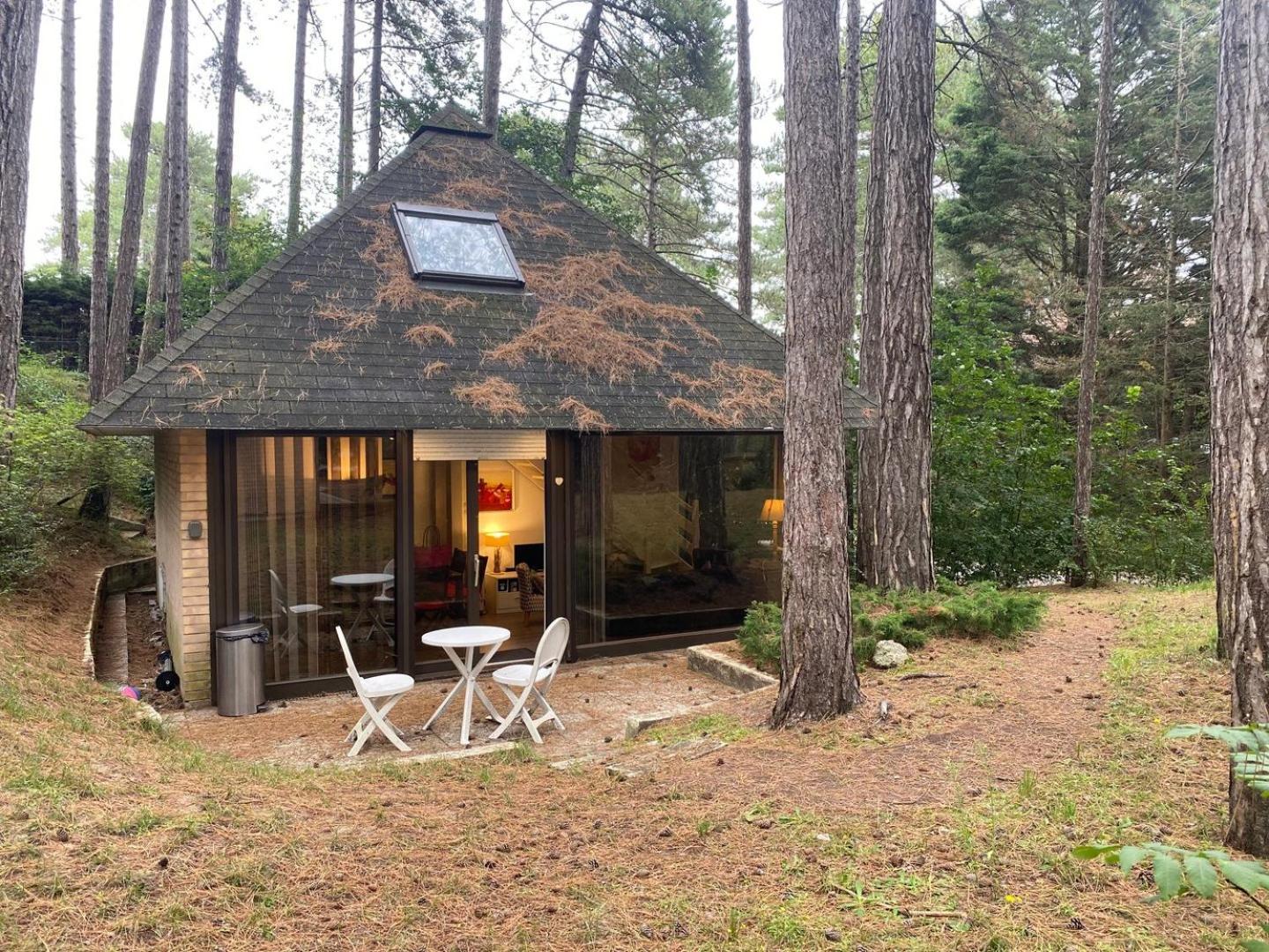 La Forestiere - Face Au 10 Neufchâtel-Hardelot Esterno foto